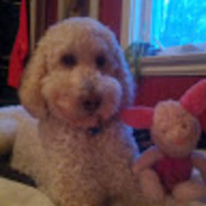 Meet your Posher, Bethany